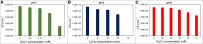 Transcriptome Analysis Reveals Cr(VI) Adaptation Mechanisms in Klebsiella sp. Strain AqSCr